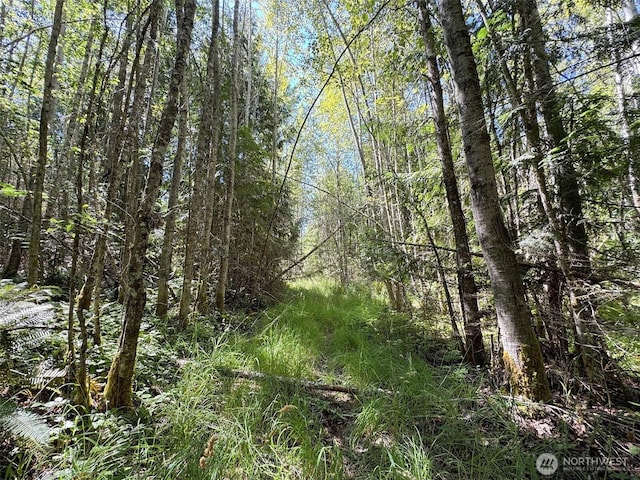 999 S Bagley Creek Prt, Angeles, WA 98362 - photo 22