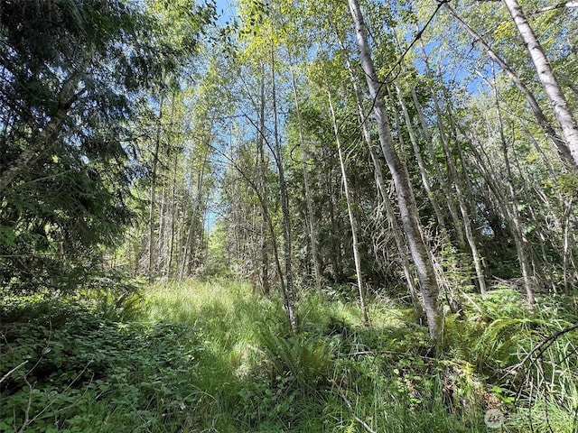 999 S Bagley Creek Prt, Angeles, WA 98362 - photo 23