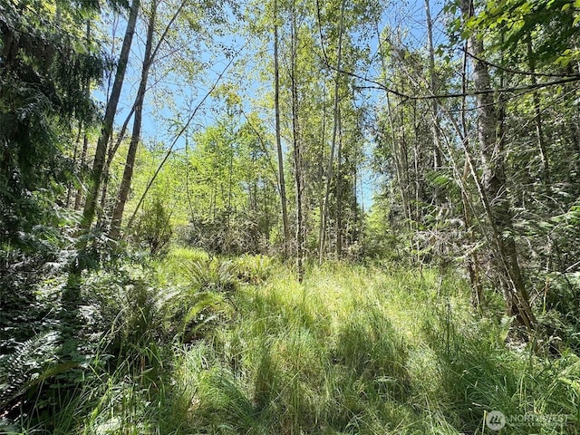 999 S Bagley Creek Prt, Angeles, WA 98362 - photo 24