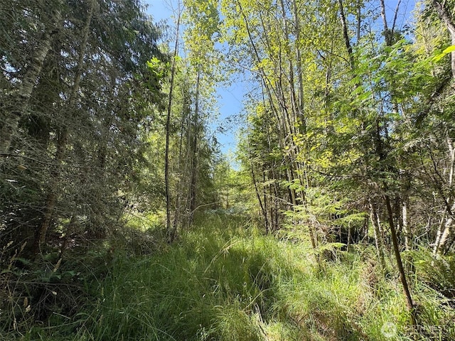 999 S Bagley Creek Prt, Angeles, WA 98362 - photo 25