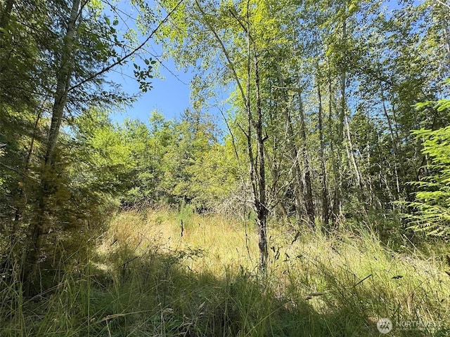 999 S Bagley Creek Prt, Angeles, WA 98362 - photo 26
