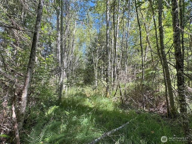 999 S Bagley Creek Prt, Angeles, WA 98362 - photo 27