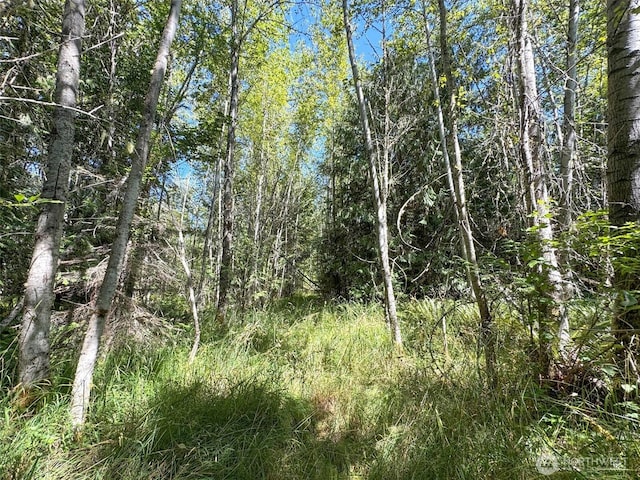 999 S Bagley Creek Prt, Angeles, WA 98362 - photo 28
