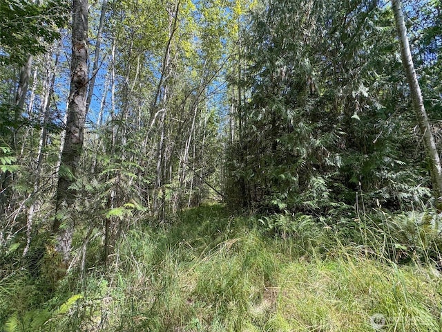 999 S Bagley Creek Prt, Angeles, WA 98362 - photo 29