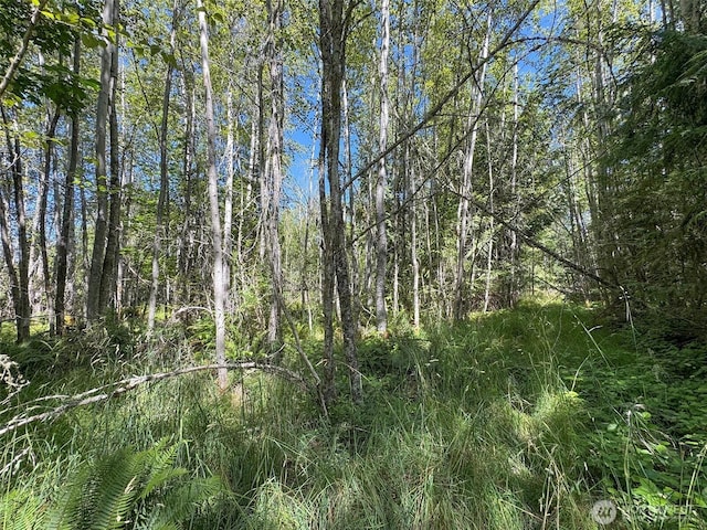 999 S Bagley Creek Prt, Angeles, WA 98362 - photo 30