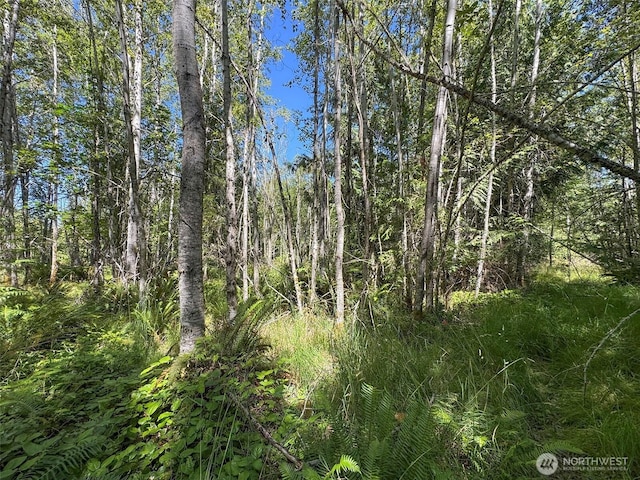 999 S Bagley Creek Prt, Angeles, WA 98362 - photo 31