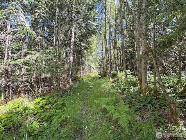 999 S Bagley Creek Prt, Angeles, WA 98362 - photo 32