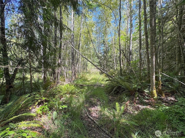 999 S Bagley Creek Prt, Angeles, WA 98362 - photo 33