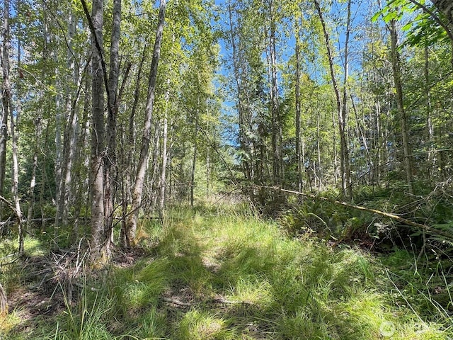 999 S Bagley Creek Prt, Angeles, WA 98362 - photo 34