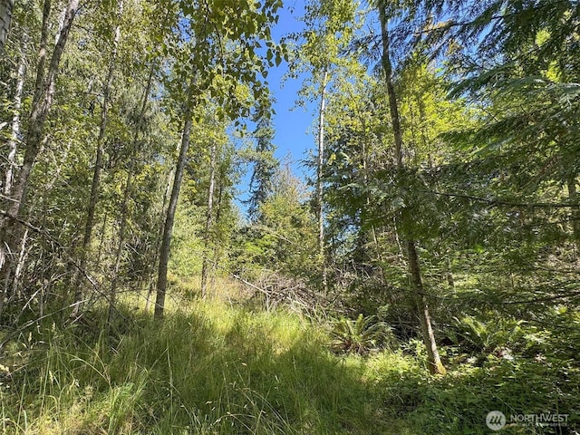 999 S Bagley Creek Prt, Angeles, WA 98362 - photo 35