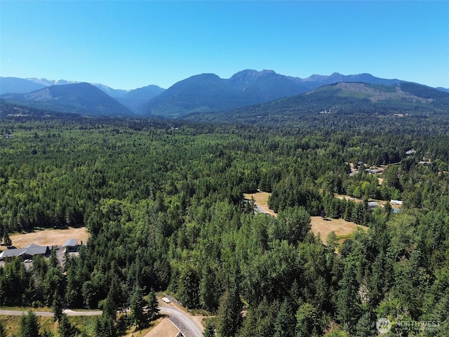 999 S Bagley Creek Prt, Angeles, WA 98362 - photo 36