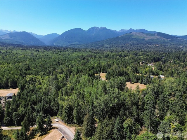 999 S Bagley Creek Prt, Angeles, WA 98362 - photo 37