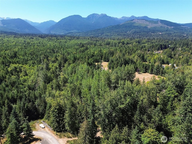 999 S Bagley Creek Prt, Angeles, WA 98362 - photo 38