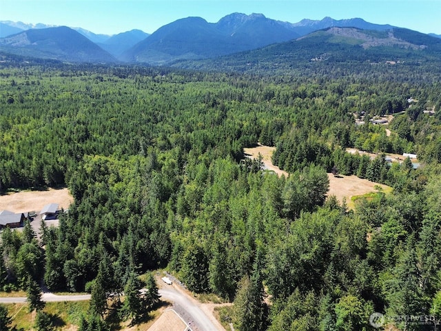 999 S Bagley Creek Prt, Angeles, WA 98362 - photo 39