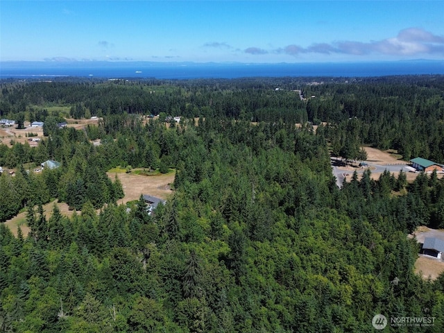 999 S Bagley Creek Prt, Angeles, WA 98362 - photo 40