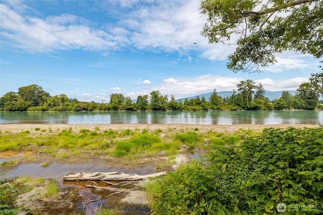24417 S Skagit Hwy, Sedro Woolley, WA 98284 - photo 36