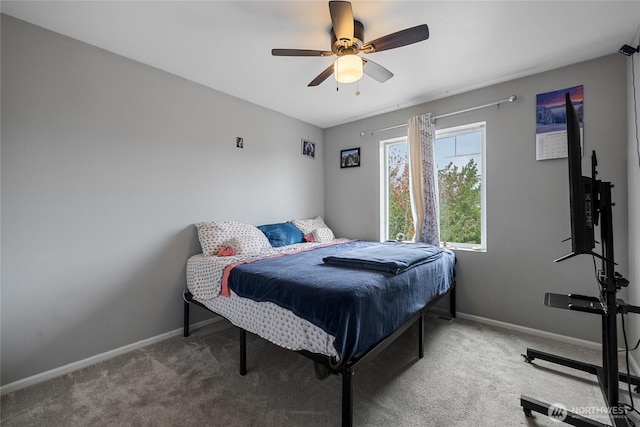 10024 Cochrane Ave SE, Yelm, WA 98597 - photo 22
