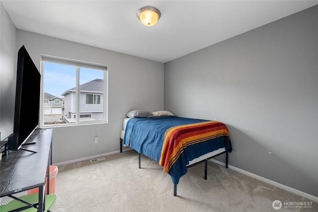 10024 Cochrane Ave SE, Yelm, WA 98597 - photo 33