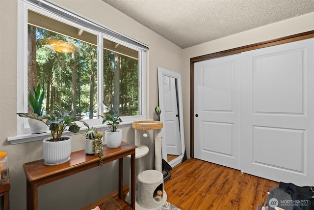 13904 NW 55th Ave, Gig Harbor, WA 98332 - photo 24