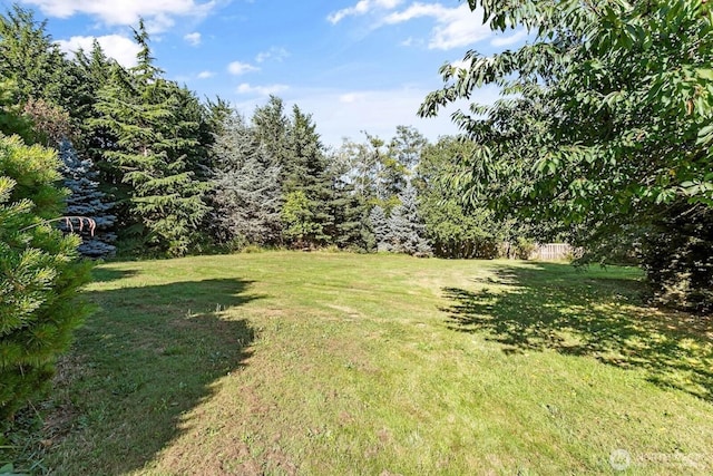 2493 Mountain View Rd, Ferndale, WA 98248 - photo 26