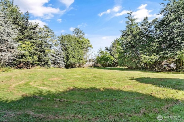 2493 Mountain View Rd, Ferndale, WA 98248 - photo 27