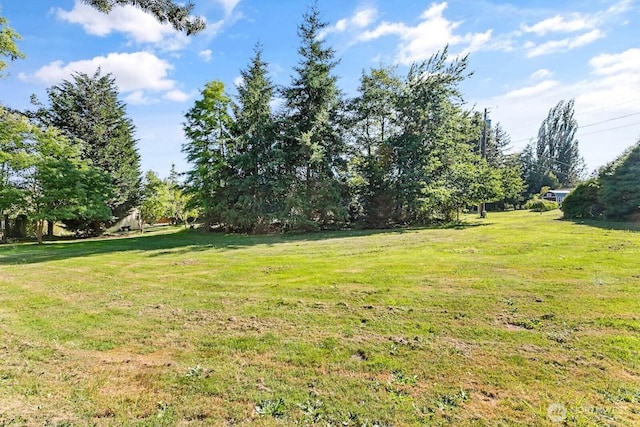2493 Mountain View Rd, Ferndale, WA 98248 - photo 28