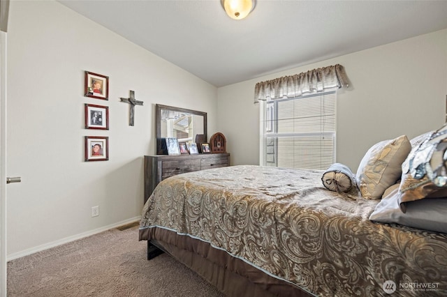 878 Carriage Ct Unit 40, Sedro Woolley, WA 98284 - photo 23