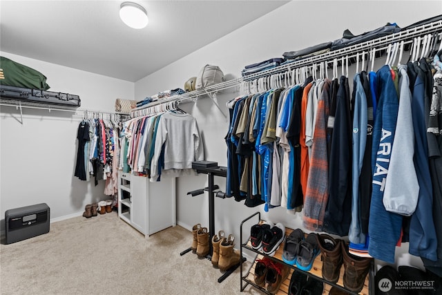 7123 Prism St SE, Lacey, WA 98513 - photo 27