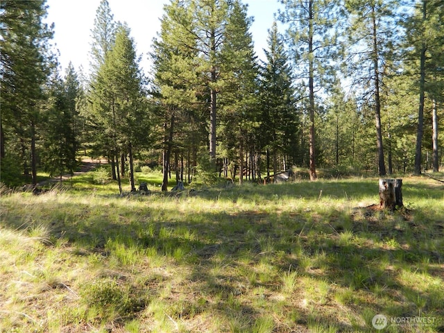 151 Indian Mary Loop Rd, Tonasket, WA 98855 - photo 4