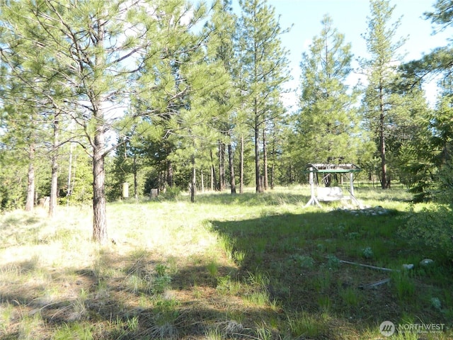 151 Indian Mary Loop Rd, Tonasket, WA 98855 - photo 9