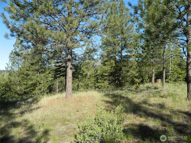 151 Indian Mary Loop Rd, Tonasket, WA 98855 - photo 10