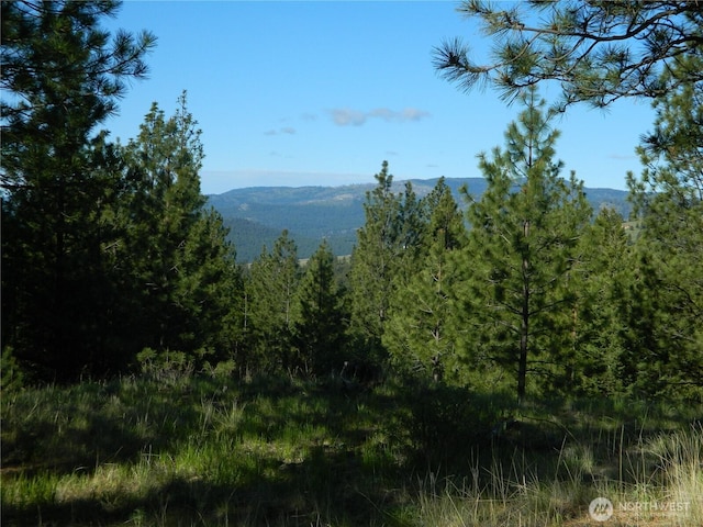 151 Indian Mary Loop Rd, Tonasket, WA 98855 - photo 11