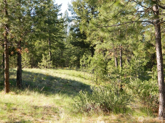 151 Indian Mary Loop Rd, Tonasket, WA 98855 - photo 12