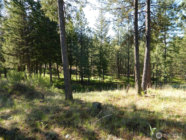 151 Indian Mary Loop Rd, Tonasket, WA 98855 - photo 16