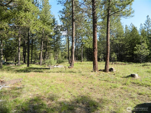 151 Indian Mary Loop Rd, Tonasket, WA 98855 - photo 17