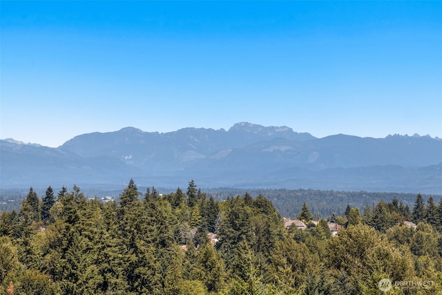 5239 164th Ave SE Unit 14-3, Bellevue, WA 98006 - photo 4