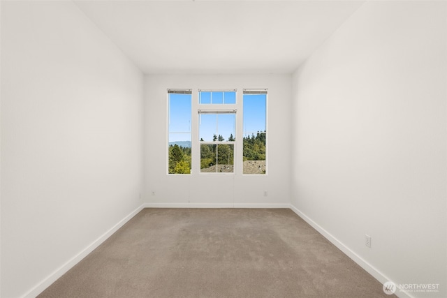 5239 164th Ave SE Unit 14-3, Bellevue, WA 98006 - photo 24