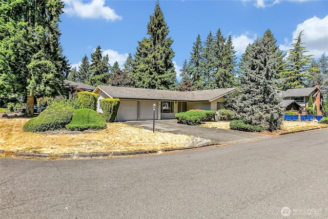 1803 150th Ave SE, Bellevue, WA 98007 - photo 1