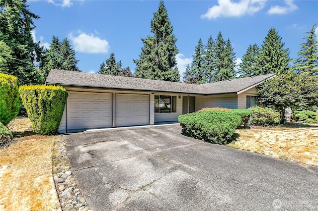 1803 150th Ave SE, Bellevue, WA 98007 - photo 2