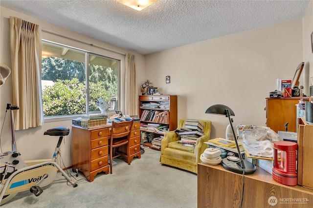 1803 150th Ave SE, Bellevue, WA 98007 - photo 22