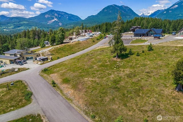 103 Belle Ln, White Pass, WA 98937 - photo 1