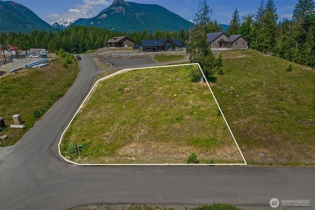 103 Belle Ln, White Pass, WA 98937 - photo 4