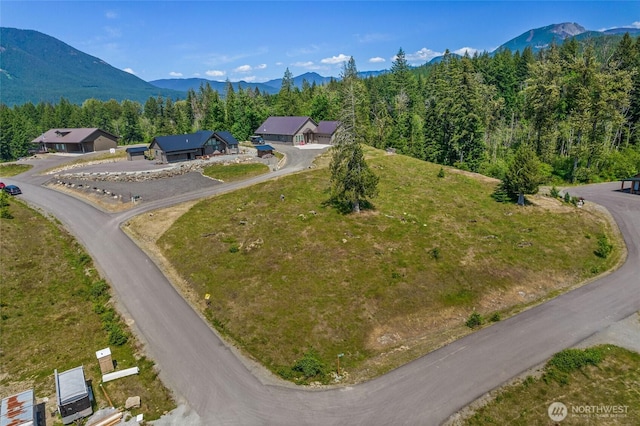 103 Belle Ln, White Pass, WA 98937 - photo 5