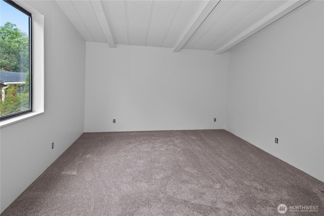 2725 E Fir St Unit 84, Mount Vernon, WA 98273 - photo 30
