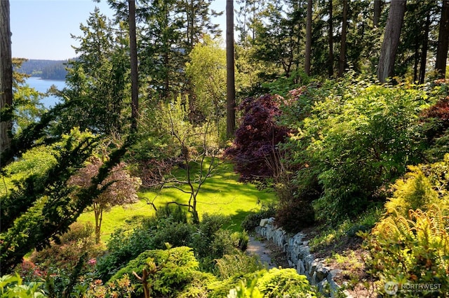 15127 Gibralter Rd, Anacortes, WA 98221 - photo 33