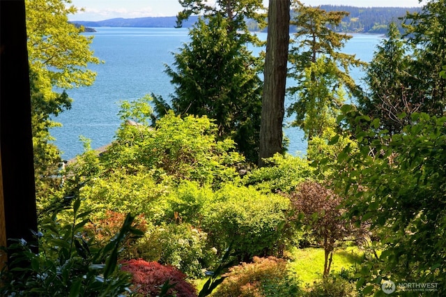 15127 Gibralter Rd, Anacortes, WA 98221 - photo 34