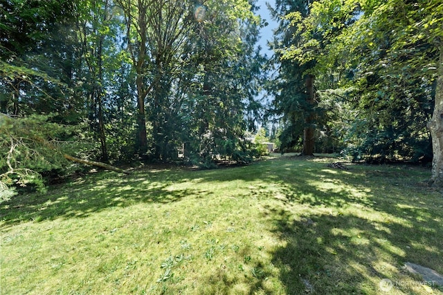 11427 74th Ave E, Puyallup, WA 98373 - photo 15