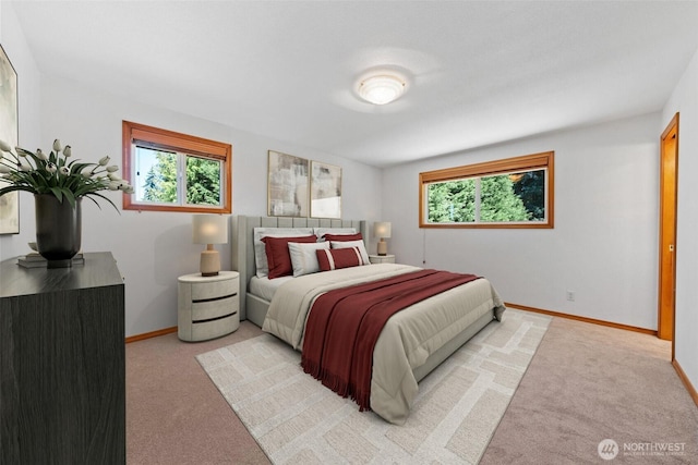 11427 74th Ave E, Puyallup, WA 98373 - photo 24