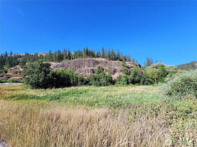 31300 Aspen Ln E, Davenport, WA 99122 - photo 20