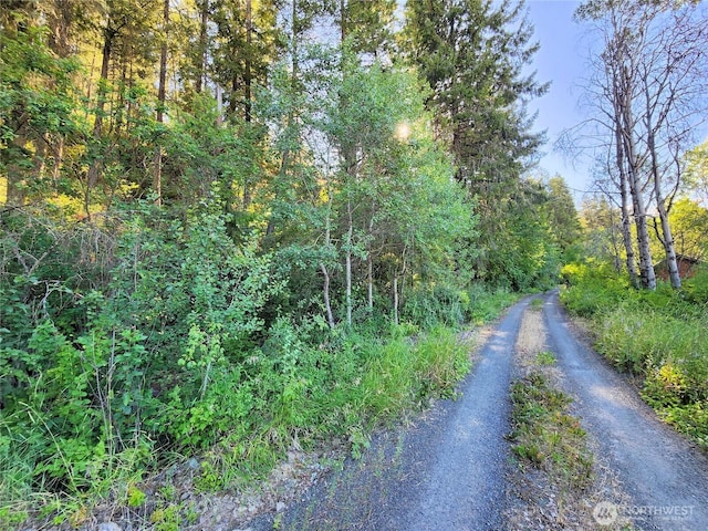 31300 Aspen Ln E, Davenport, WA 99122 - photo 21